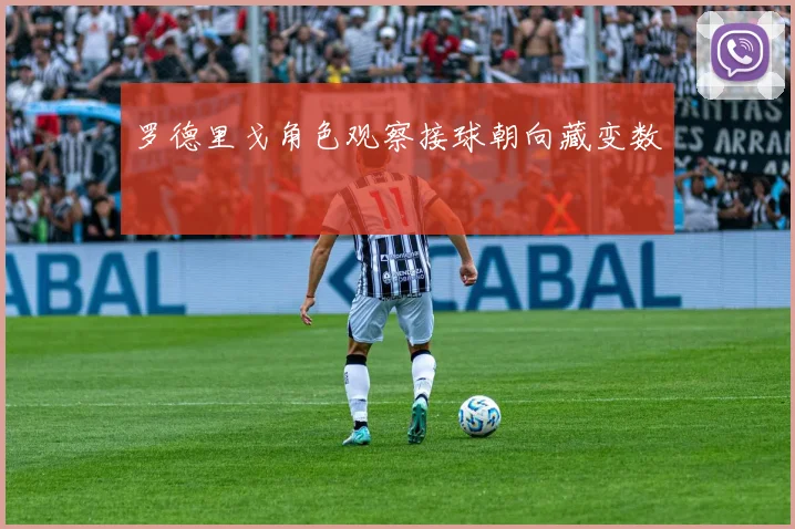 罗德里戈角色观察接球朝向藏变数